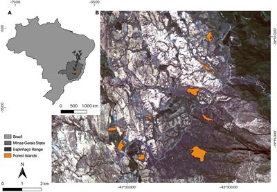 Spatiotemporal Distribution of Herbivorous Insects Along Always-Green Mountaintop Forest Islands
